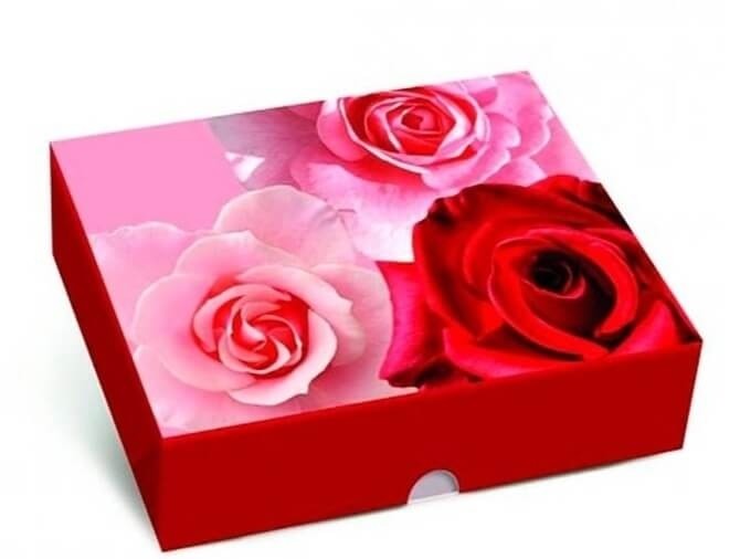 Caixa Retangular Tampa/Fundo New Belle M 30X24X6cm 1 UN