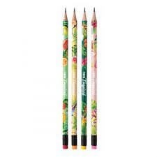 Lapis Grafite HB Com Borracha Tropical Tris