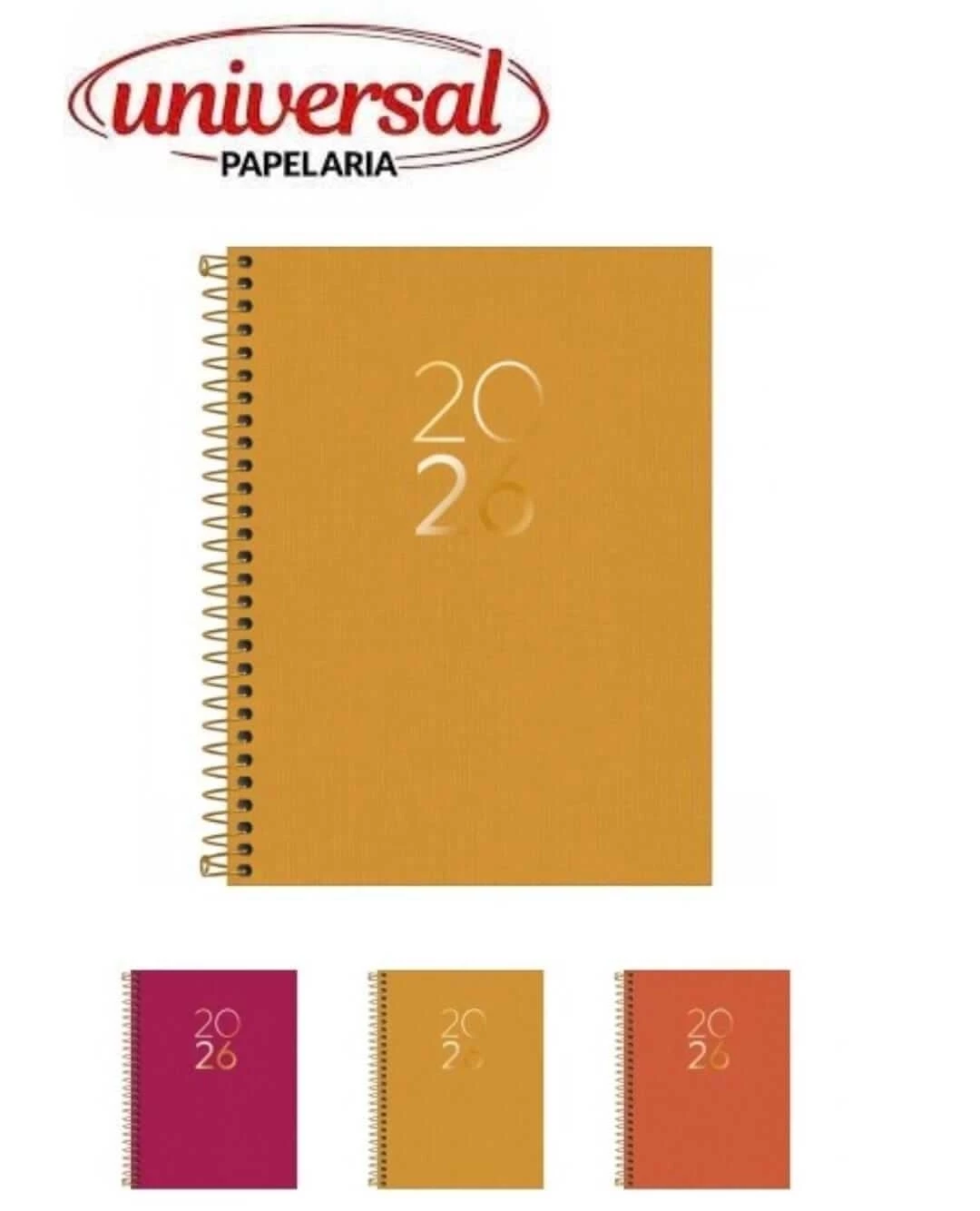 Agenda Executiva Espiralada Lume Tilibra 1 UN