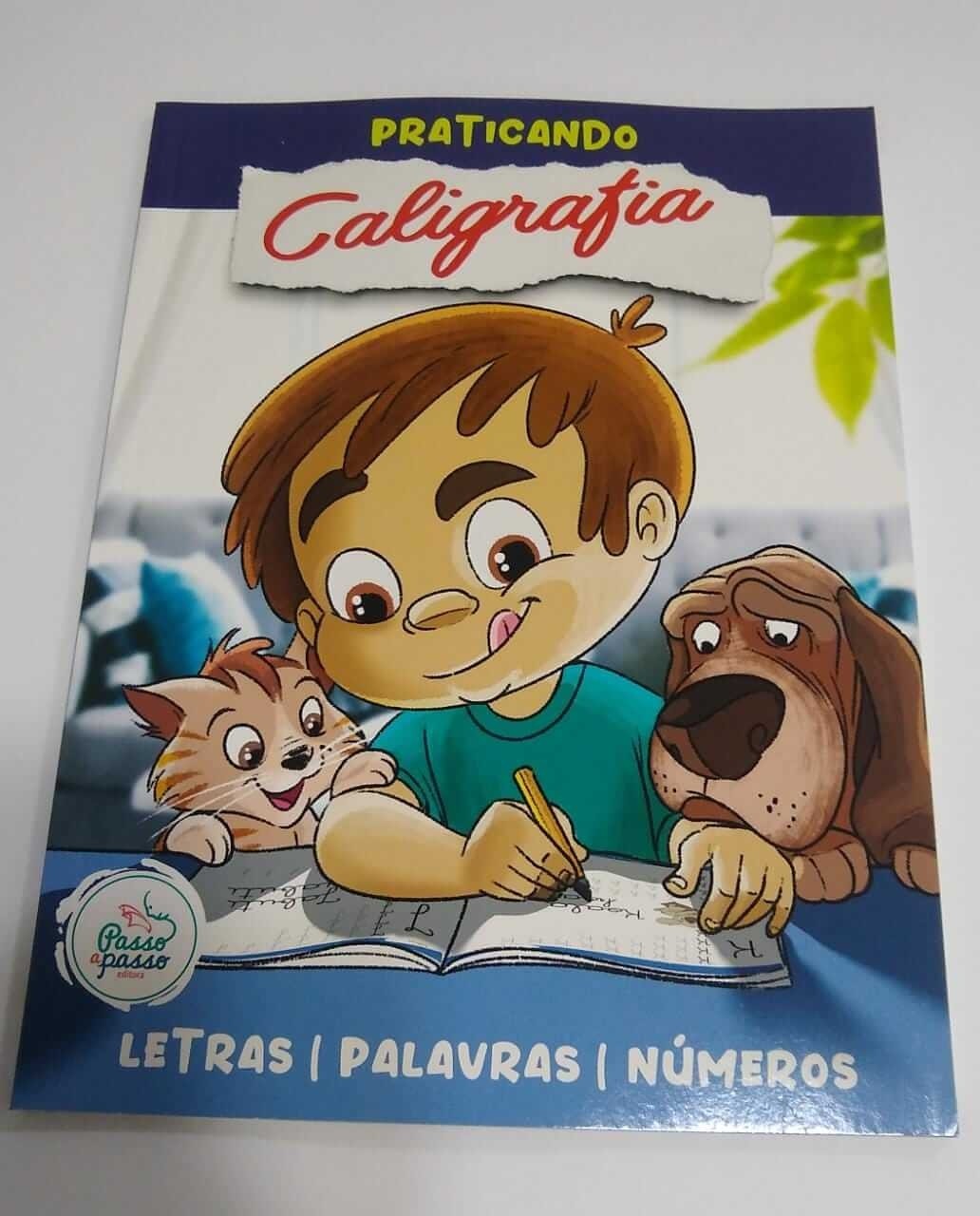 Praticando Caligrafia - Letras, Palavras e Numeros