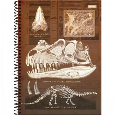 Caderno Universitário Sauros 10 Matérias Foroni 160 Folhas 1 UN