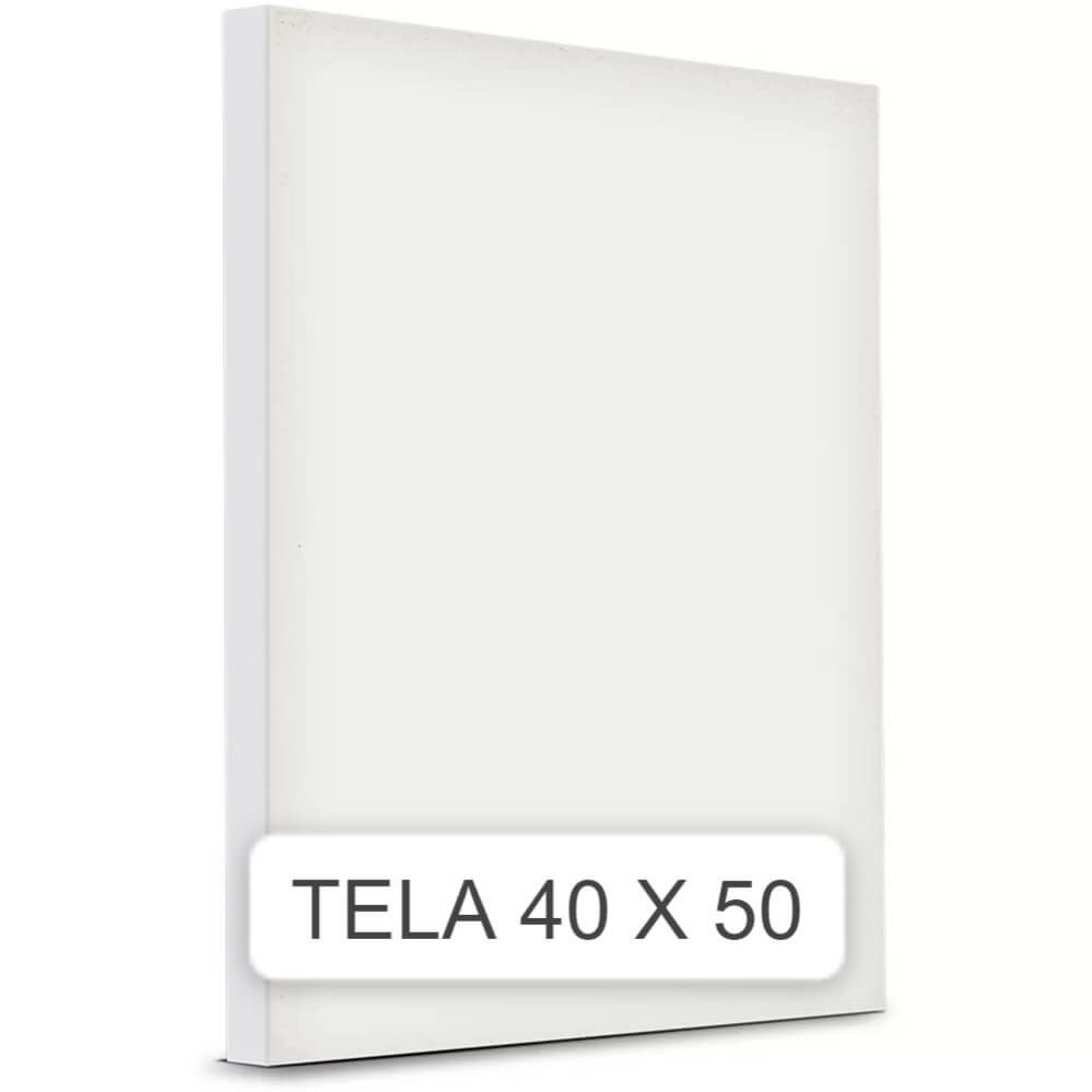 Tela De Pintura 40x50 1 UN