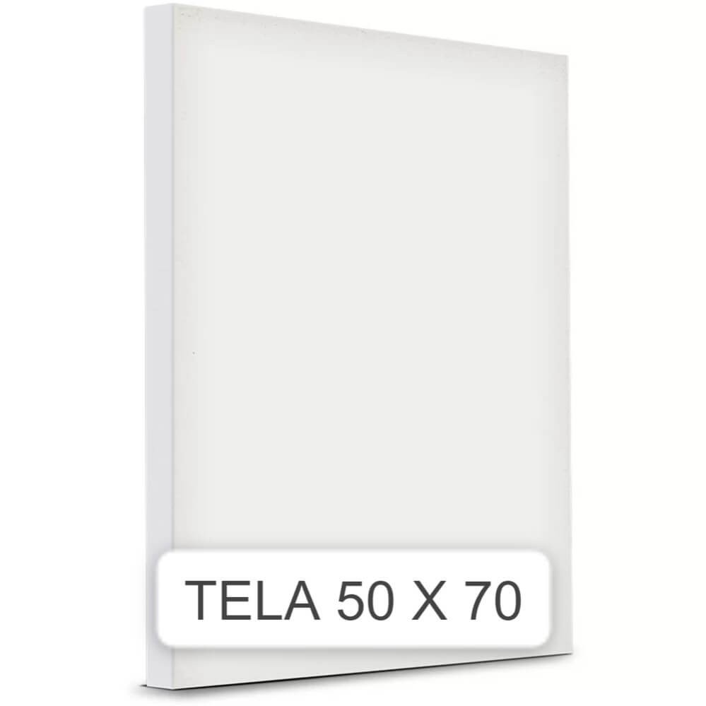 Tela De Pintura PAINEL 50x70 1 UN