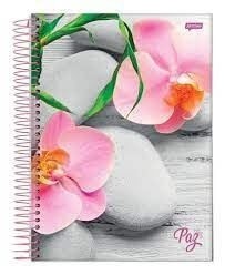 Caderno Universitário Espiral 12 Matérias 240 Folhas Paz Jandaia