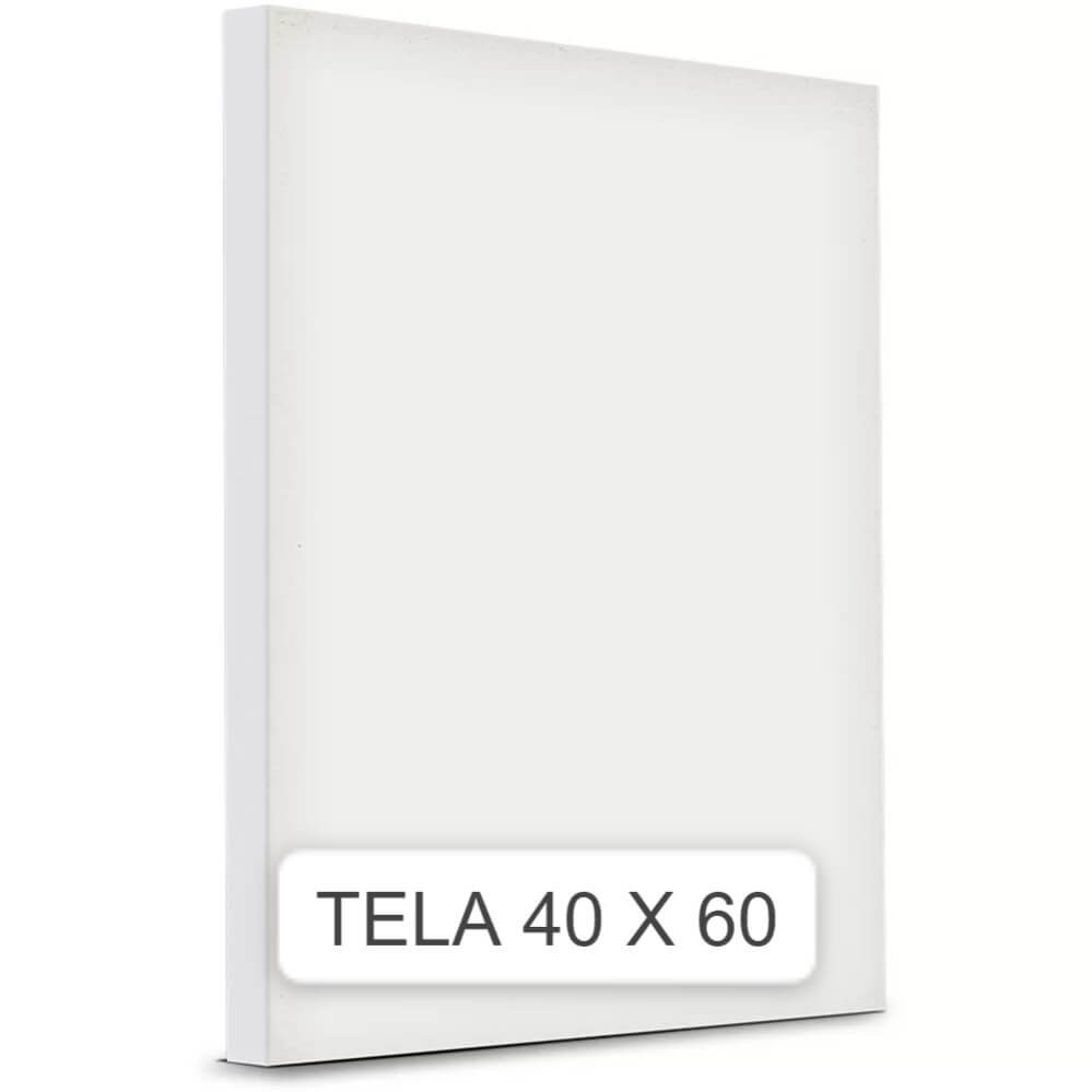 Tela De Pintura 40x60 1 UN