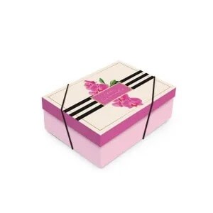 Caixa Retangular com Tampa Celine P Cromus 24X18X08CM 1UN