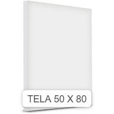 Tela De Pintura 50 X 80 1 UN
