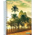 Caderno 1/4 CD Espiral 96Fls Brasilidade Jandaia